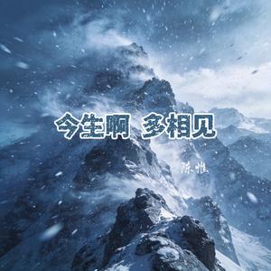 今生啊 多相见