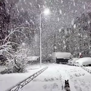 Волшебный снег