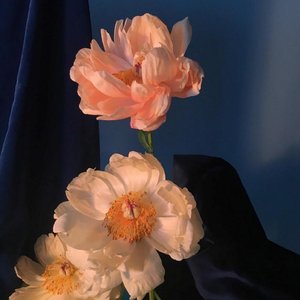 LuvisDrug_变调变速（孓乄 remix）