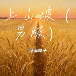 上山坡