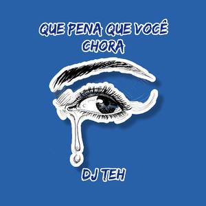 Que Pena Que Você Chora