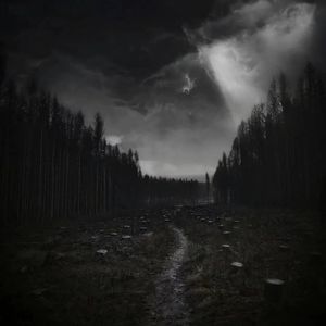 单曲循环的英文（BGM版）