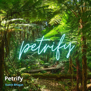 Petrify