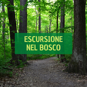 Que La Lluvia Desgasta Adoquines Y Calles Tambien