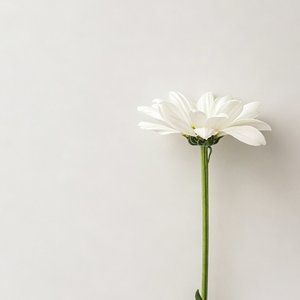 层林尽染（demo）.wav