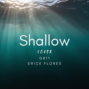 Shallow (Cover)
