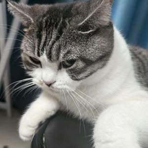 逆水寒・仙道谣