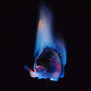 Black Noise Cathedral