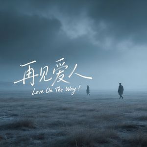 再见爱人（对唱版）