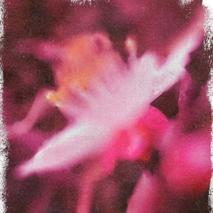 purpose (repurposed)