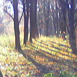 decis k no m keres :/