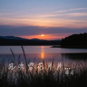 风吹雪花片片落 (Cover 洋澜一)