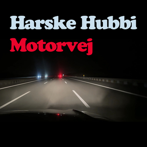 Motorvej