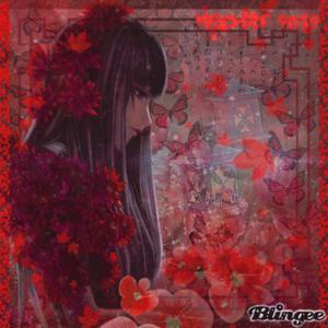 follow me on instagram follow me on instagram follow me on instagram