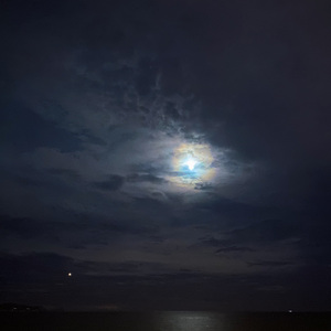 溃爱（prodEVOMUSIC）