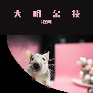 落魄的音乐家 伴奏