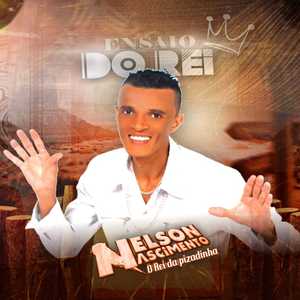 Pega o Litro e Vamos Beber (Remix)