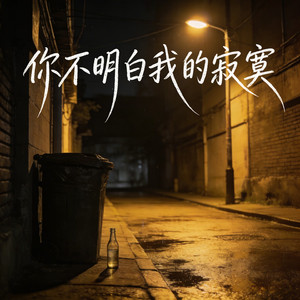 你不明白我的寂寞