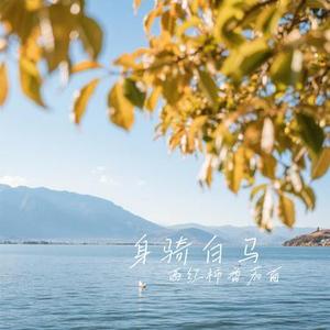 世间所有不及你温柔 (Cover 孙艺琪)