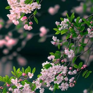 baptized in fear (nightcore)