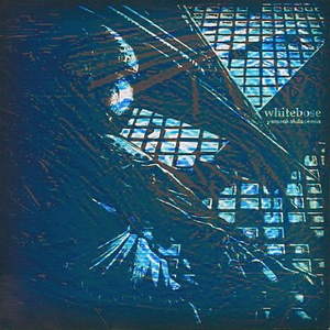 The Air Knows RISLIM