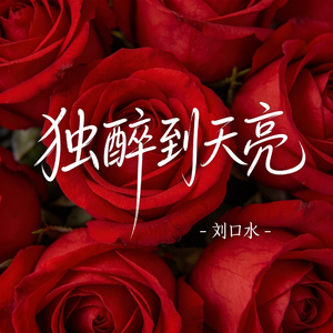 独醉到天亮（热播版）