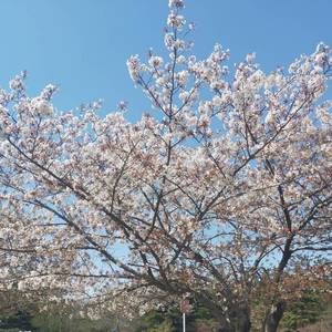 希望你能懂我(Prod. CDY)