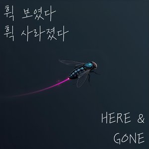 휙 보였다 휙 사라졌다 (Here and Gone)