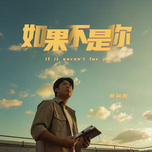 如果不是你