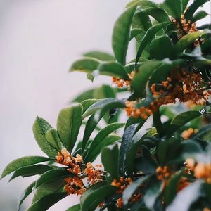 提取  追光逐梦.wav