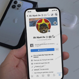 Đông Phai Mờ Dáng Ai (Remix)