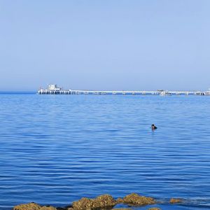 我会想起你（cover-宋捷）