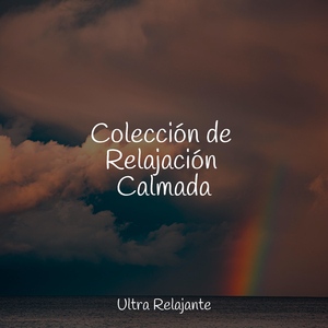 Conectando Con La Naturaleza