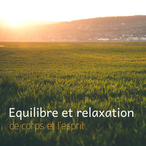Désactiver la sonnerie sur le téléphone
