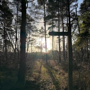 Nytt år - nya tag!