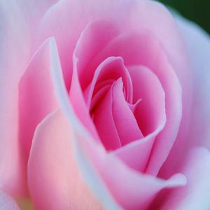 あの日の舞台裏　