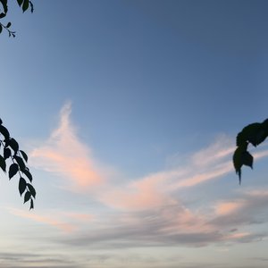 未写完的歌