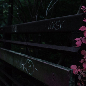 STOCKED IN YOUR SOCKS (Radio Edit)