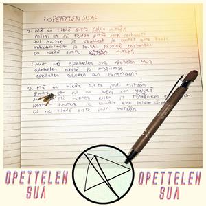 Opettelen Sua