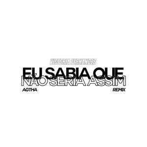 Eu Sabia Que Não Seria Assim (Remix)