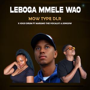 Leboga Mmele Wao (feat. Sogo Drum, Marumo The Vocalist & Jongow)