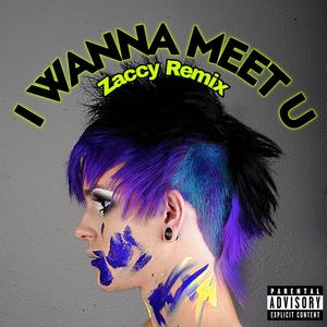 I Wanna Meet U (ZACCY Remix)