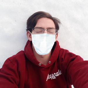 Lag Um Kóvídd-Nítján