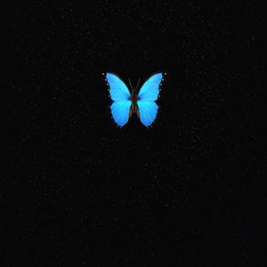 BUTTERFLYZ