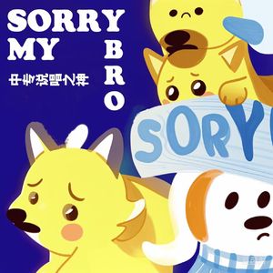 Sorry My Bro(Prod.pvki)