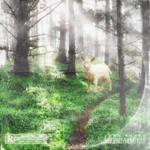 Tree shade 荫(Feat Wright飞机)