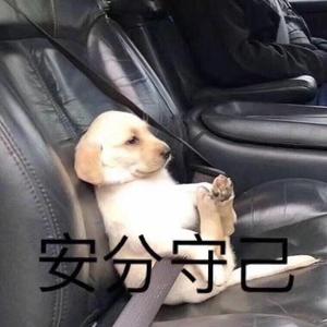 狂恋你