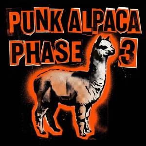 PUNK ALPACA