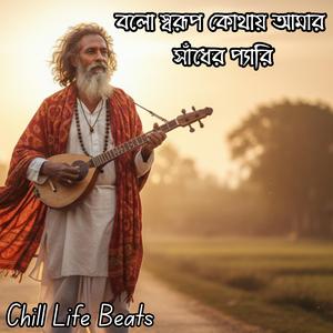 বলো স্বরূপ কোথায় আমার সাঁধের প্যারি