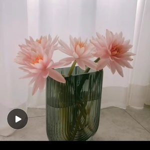 你死后我才发现你爱了我一生